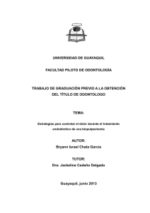 733 Bryann Israel Chata García.pdf