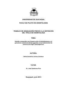 827 Dalila Dioselina Llerena Córdova.pdf