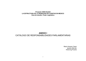 Proyecto CIDE-Hewlett LA ESTRUCTURA DE LA RENDICION DE CUENTAS EN MEXICO