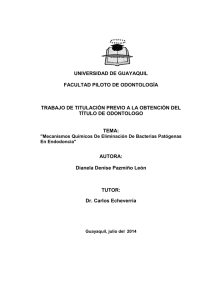 PAZMIÑOdianela.pdf
