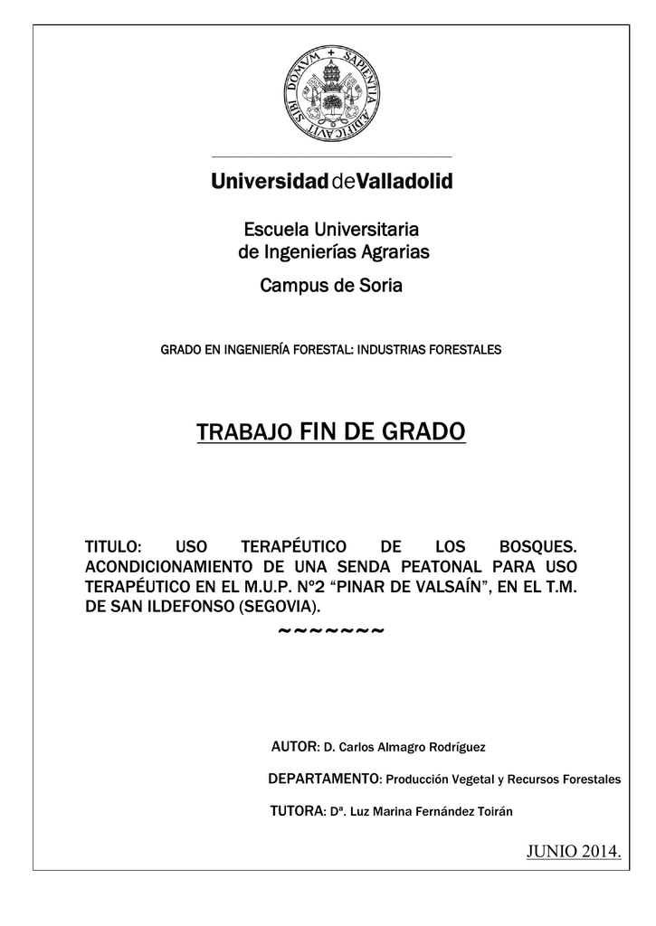 TFG-O 142.pdf