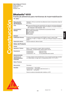 SikaLastic 810 - R9075.8.6.