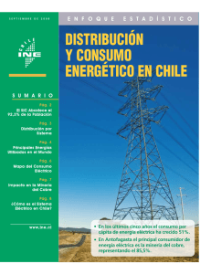 http://www.ine.cl/canales/sala_prensa/archivo_documentos/enfoques/2008/septiembre/energia_pag.pdf