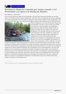 Resistencia Mapuche responde por ataque armado a Lof