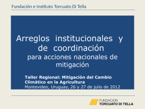 Arreglos institucionales y de coordinación para NAMAs H Carlino FTDT 2012