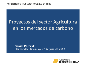 Proyectos del sector agricultura en los mercados de carbono- D Perczyk 2012