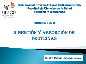 BIOQUÍMICA II Universidad Privada Antonio Guillermo Urrelo Farmacia y Bioquímica