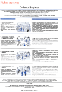 Nueva ventana:Fichas prácticas: Orden y limpieza (pdf, 183 Kbytes)