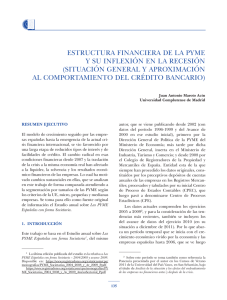 Estructura financiera de la Pyme y su inflexión en la recesión (situación general y aproximación al comportamiento del crédito bancario).