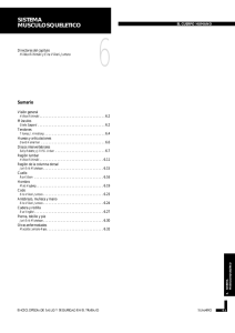 Nueva ventana:Capítulo 6. Sistema musculosquelético (pdf, 813 Kbytes)