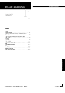Nueva ventana:Capítulo 11. Órganos sensoriales (pdf, 745 Kbytes)