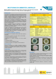 Nueva ventana:Micotoxinas en ambientes laborales (2010) (pdf, 106 Kbytes)