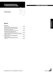 Nueva ventana:Capítulo 83. Microelectrónica y semiconductores (pdf, 700 Kbytes)