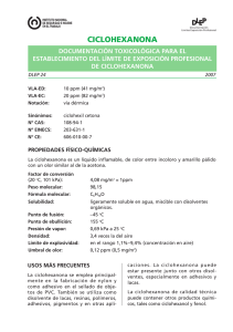 Nueva ventana:Ciclohexanona - Año 2007 (pdf, 38 Kbytes)