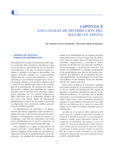 Capítulo X. Los canales de distribución del seguro en España