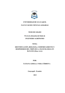 VERACordovaTATIANA.pdf