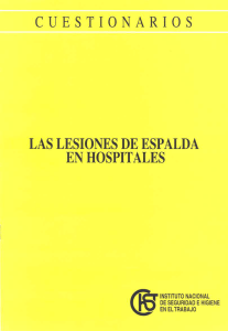 Nueva ventana:Las lesiones de espalda en hospitales (pdf, 560 Kbytes)