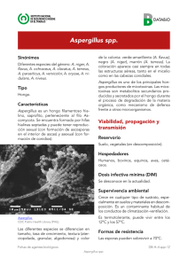 Nueva ventana:Aspergillus spp (pdf, 770 Kbytes)