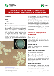 Nueva ventana:Cryptococcus neoformans var. neoformans (Filobasidiella neoformans var. neoformans) (pdf, 367 Kbytes)