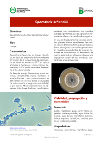 Nueva ventana:Sporothrix schenckii (pdf, 422 Kbytes)