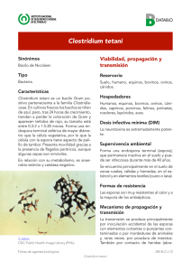 Nueva ventana:Clostridium tetani (pdf, 426 Kbytes)