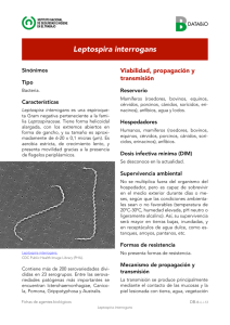 Nueva ventana:Leptospira interrogans (pdf, 798 Kbytes)