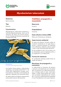 Nueva ventana:Mycobacterium tuberculosis (pdf, 691 Kbytes)