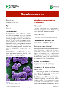 Nueva ventana:Staphylococcus aureus (pdf, 466 Kbytes)