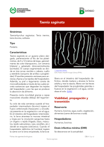 Nueva ventana:Taenia saginata (pdf, 291 Kbytes)