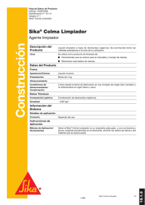 Sika Colma Limpiador - R58712.1.3.
