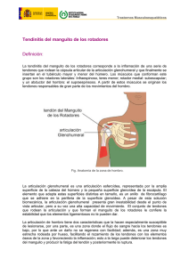 Nueva ventana:Tendinitis del manguito de los rotadores (pdf, 222 Kbytes)
