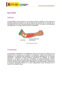 Nueva ventana:Epicondilitis (pdf, 152 Kbytes)