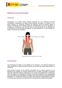 Nueva ventana:Síndrome cervical por tensión (pdf, 241 Kbytes)
