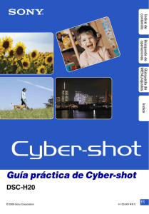 Guía práctica de Cyber-shot DSC-H20 ES co