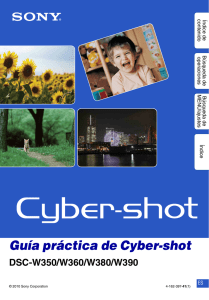 Guía práctica de Cyber-shot DSC-W350/W360/W380/W390 ES co
