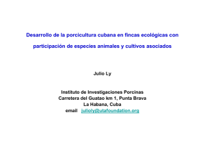 Desarrollo de la porcicultura cubana en fincas ecológicas con
