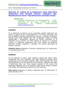 Reacci&oacute;n en cadena de la polimerasa como alternativa diagnostica para Brucella abortus , Leptospira spp., Mycobacterium bovis y Mycobacterium paratuberculosis