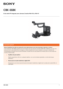 CBK-55BK Kit de estilo EFP integrado para cámaras CineAlta PMW-F55 y...