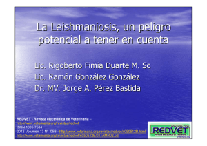 Leishmaniosis, un peligro potencial a tener en cuenta ,