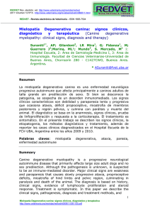 Mielopatía Degenerativa canina: signos clínicos, diagnóstico y terapéutica