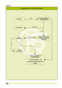 Nueva ventana:Eslabones de la cadena de socorro (pdf, 9 Kbytes)