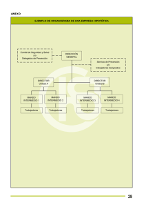 Nueva ventana:Organigrama y posibles funciones y competencias (pdf, 27 Kbytes)
