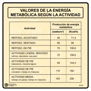 Nueva ventana:Valores de la energía metabólica según la actividad (pdf, 24 Kbytes)