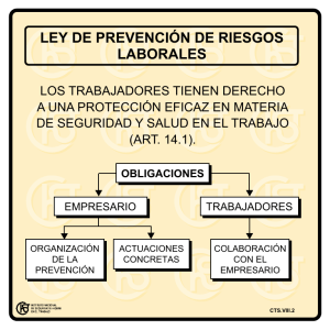 Nueva ventana:Ley de prevención de riesgos laborales (pdf, 21 Kbytes)