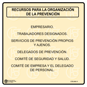 Nueva ventana:Recursos para la organización de la prevención (pdf, 20 Kbytes)