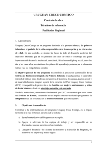 tdr_facilitador.pdf