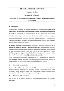 terminos_de_referencia_supervisor.pdf
