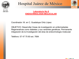 Coordinador: M. en C. Guadalupe Ortiz López Laboratorio No 6 ENDOCRINOLOGÍA MOLECULAR