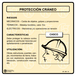 Nueva ventana:Protección cráneo (pdf, 43 Kbytes)