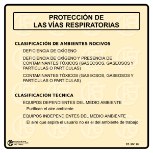 Nueva ventana:Protección de las vías respiratorias (pdf, 39 Kbytes)